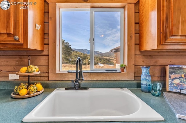 details featuring a mountain view and sink