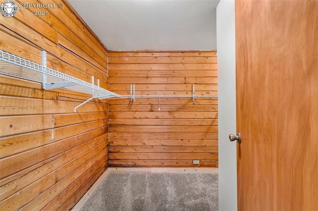 spacious closet with carpet flooring