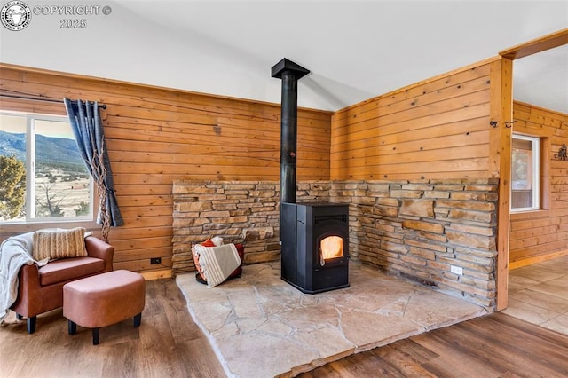 details with a mountain view, a wood stove, hardwood / wood-style floors, and wood walls