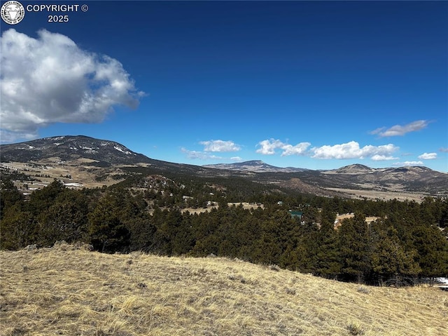 190 Ash Ln, Canon City CO, 81212 land for sale