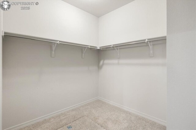 walk in closet with carpet