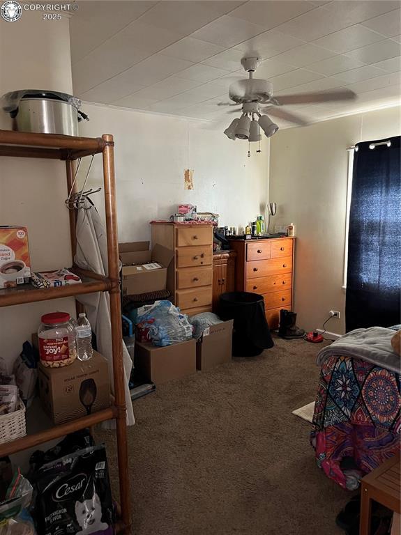 529 W Main St, Florence, CO 81226 - view of carpeted bedroom