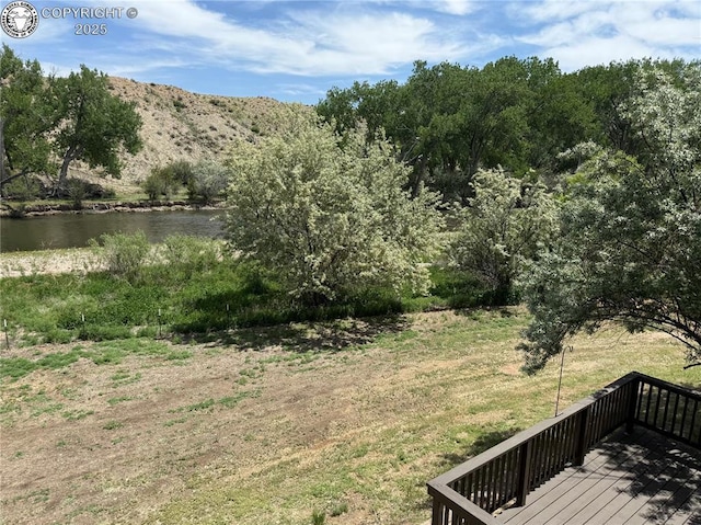 1157 County Road 119, Florence, CO 81226 - photo 38