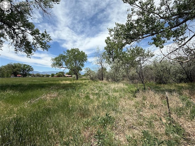 1157 County Road 119, Florence, CO 81226 - photo 40