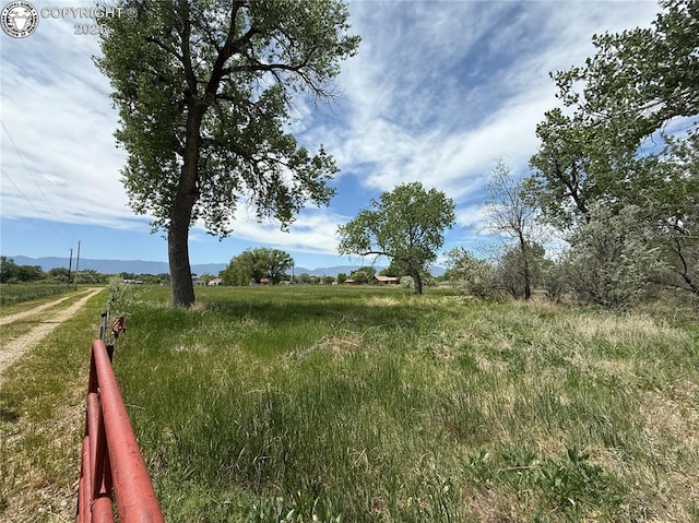 1157 County Road 119, Florence, CO 81226 - photo 41