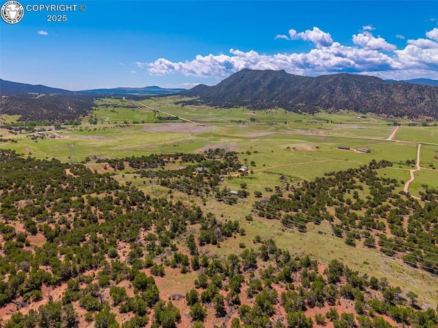 407 Horseshoe Dr, Canon City, CO 81212 - mountain view with rural landscape