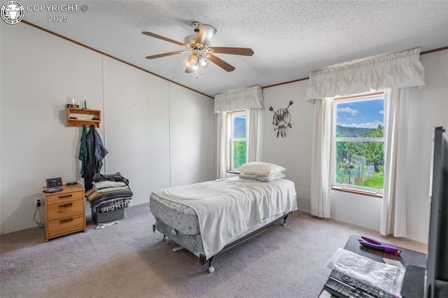407 Horseshoe Dr, Canon City, CO 81212 - bedroom with multiple windows, light colored carpet, a textured ceiling, ornamental molding, and a ceiling fan