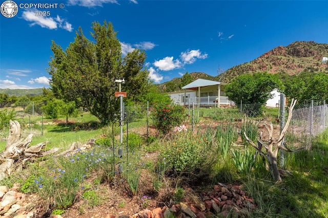 407 Horseshoe Dr, Canon City, CO 81212 - view of yard with a mountain view