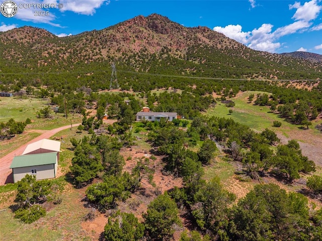 407 Horseshoe Dr, Canon City, CO 81212 - view of mountain background