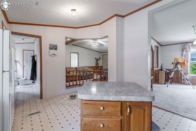 407 Horseshoe Dr, Canon City, CO 81212 - kitchen with crown molding, freestanding refrigerator, light flooring, a textured ceiling, and light countertops