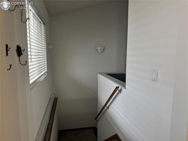 5 Cory Ln, Florence, CO 81226 - stairs with carpet