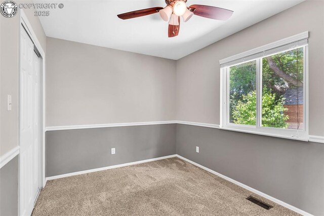1335 Flora Dr, Canon City, CO 81212 - photo 17