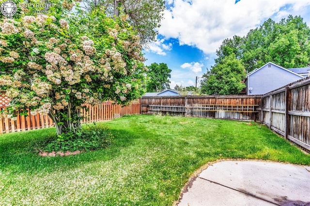 1335 Flora Dr, Canon City, CO 81212 - photo 34