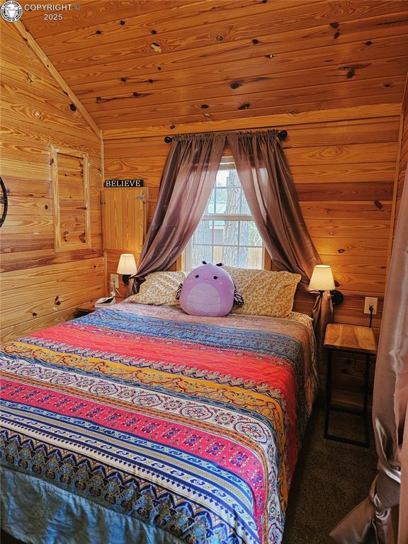 325 E Main St Unit 28, Silver Cliff, CO 81252 - photo 17
