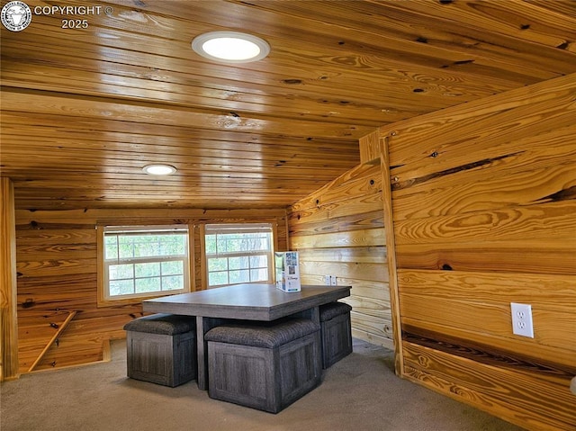 325 E Main St Unit 28, Silver Cliff, CO 81252 - photo 23