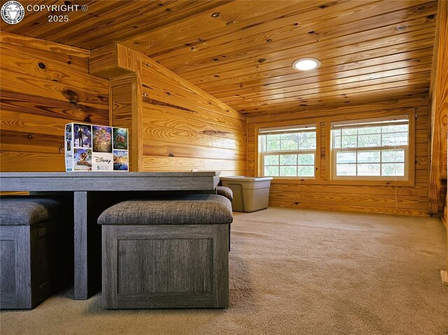 325 E Main St Unit 28, Silver Cliff, CO 81252 - photo 22