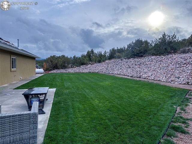 view of yard featuring a patio