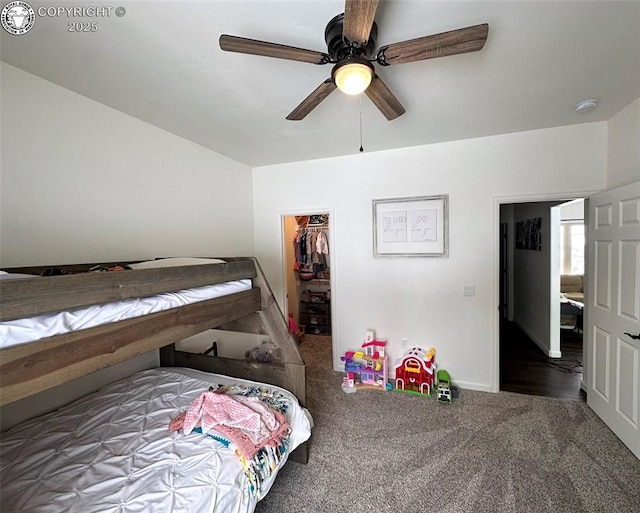 bedroom with dark carpet, a walk in closet, a closet, and ceiling fan