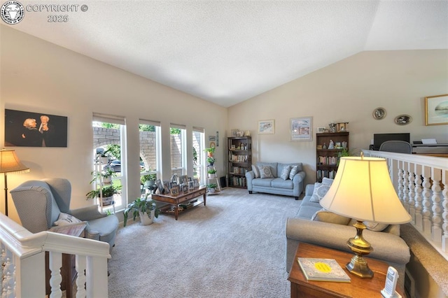 737 Apache Dr, Canon City, CO 81212 - photo 24