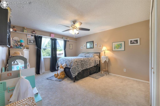 737 Apache Dr, Canon City, CO 81212 - photo 13