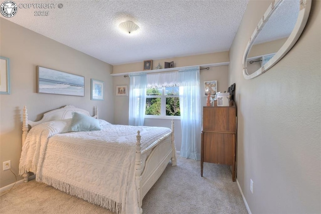 737 Apache Dr, Canon City, CO 81212 - photo 10