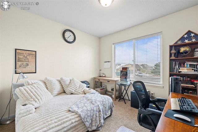 156 S Osprey Ct, Canon City, CO 81212 - photo 15