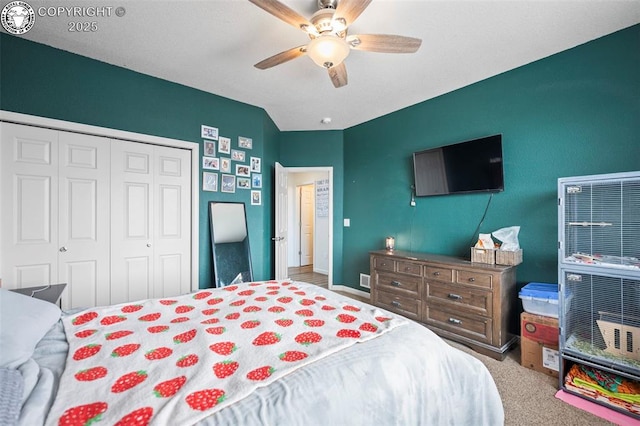 156 S Osprey Ct, Canon City, CO 81212 - photo 19