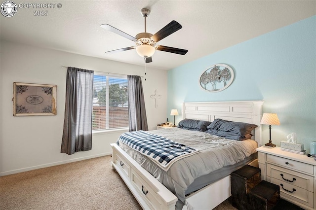156 S Osprey Ct, Canon City, CO 81212 - photo 11