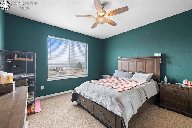 156 S Osprey Ct, Canon City, CO 81212 - photo 18
