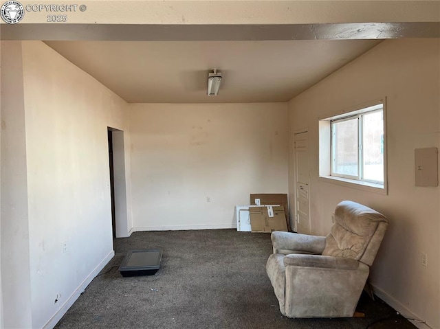 living area with dark carpet