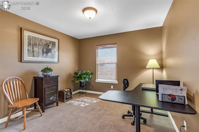 view of carpeted office space