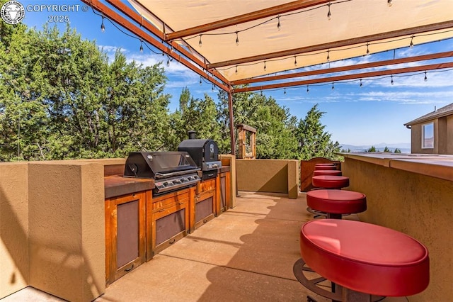 view of patio / terrace featuring area for grilling and grilling area