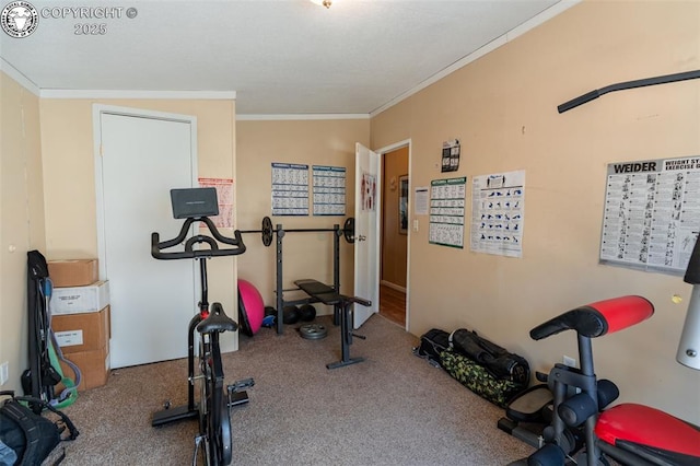 workout area with ornamental molding and carpet floors