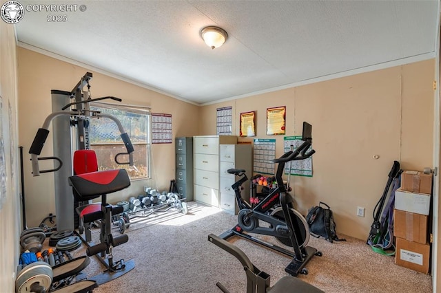 exercise area featuring crown molding, vaulted ceiling, and carpet floors