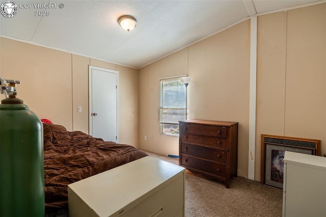 bedroom featuring vaulted ceiling and carpet