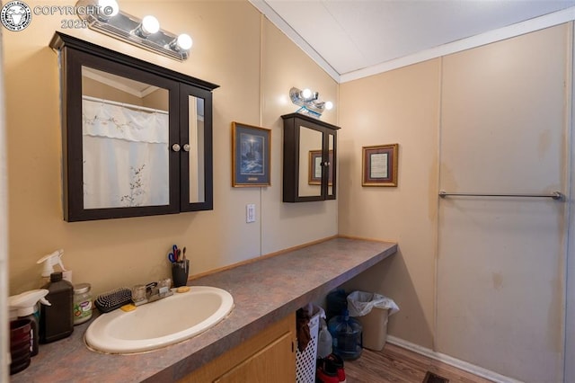 bathroom with hardwood / wood-style flooring, ornamental molding, and vanity