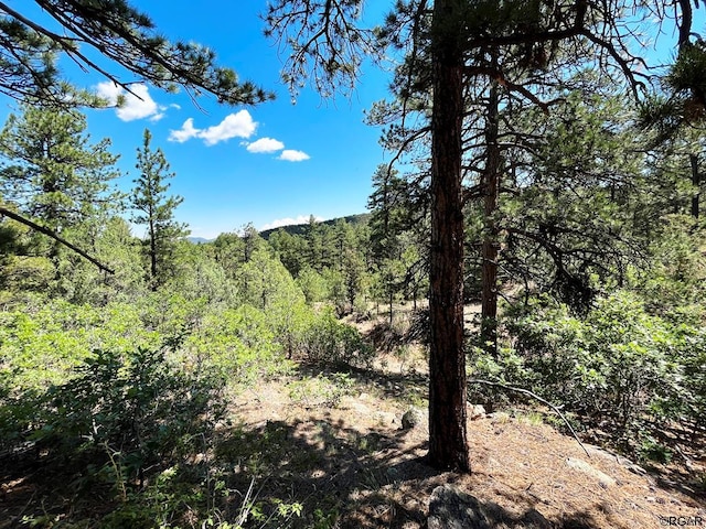 Address Not Disclosed, Cotopaxi CO, 81223 land for sale