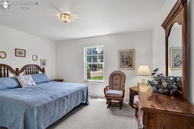 1401 Cedarwood Ct, Canon City, CO 81212 - photo 20
