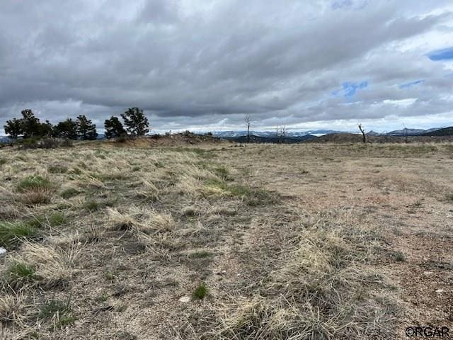 Listing photo 2 for 690 Shannon Trl, Cotopaxi CO 81223