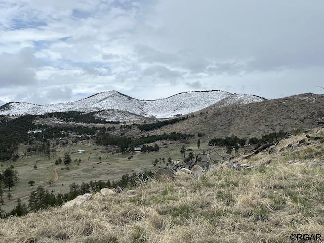 690 Shannon Trl, Cotopaxi CO, 81223 land for sale