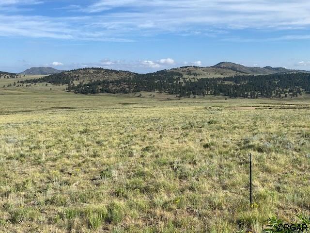 690 Eagles Gate Rd, Westcliffe, CO 81252 - photo 17