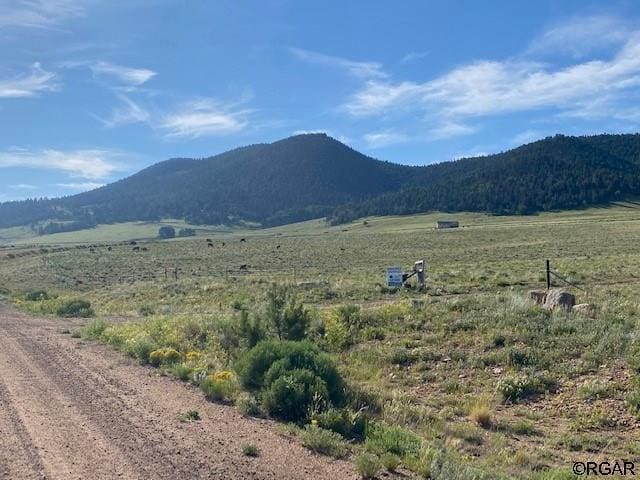 690 Eagles Gate Rd, Westcliffe, CO 81252 - photo 6
