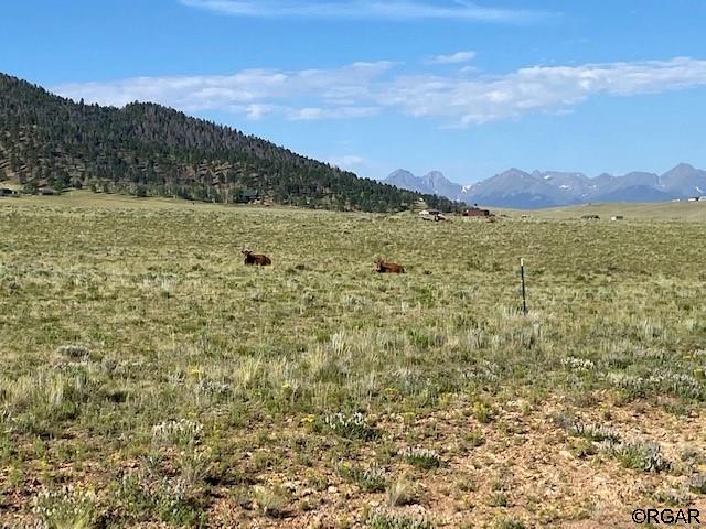 690 Eagles Gate Rd, Westcliffe, CO 81252 - photo 7