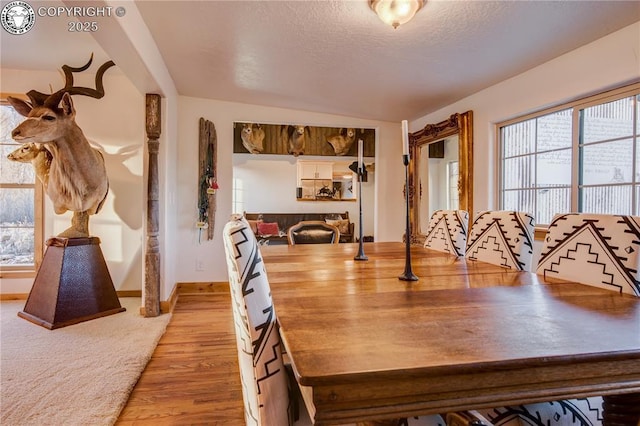 dining room with light wood-style floors, a healthy amount of sunlight, a textured ceiling, and baseboards