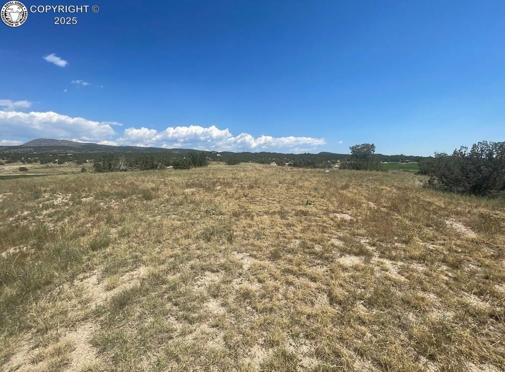 3562 Saddle Dr, Canon City, CO 81212 - photo 1