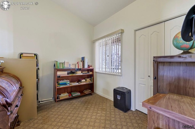 misc room with lofted ceiling