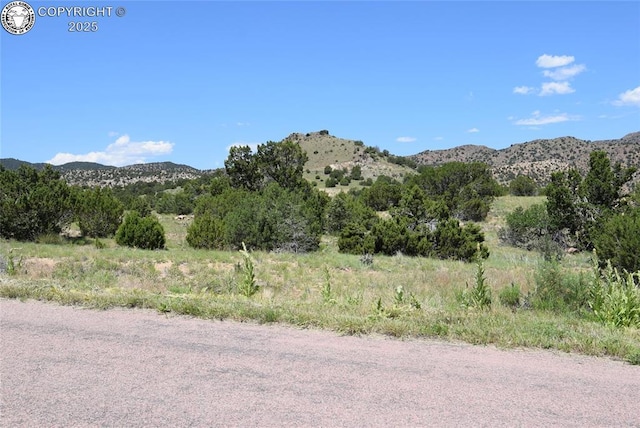TBD Wild Rose Dr, Canon City, CO 81212