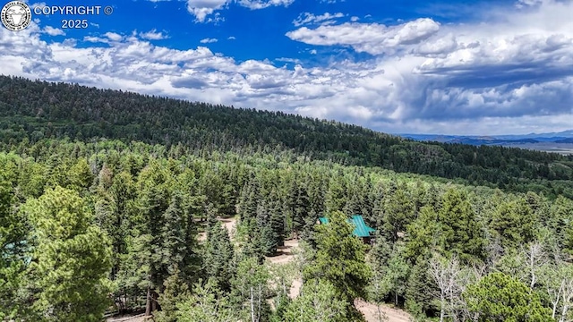 79 Terrazo Abajo, Westcliffe, CO 81252 - view of mountain background featuring a forest