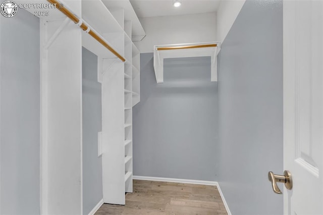 spacious closet with light wood-type flooring