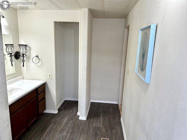 bathroom featuring wood finished floors and vanity